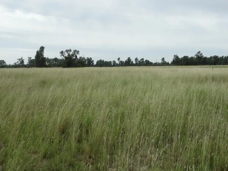 Fifth view of Homely rural property listing, Lot 41 Surcingle Road, Chinchilla QLD 4413