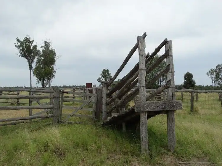 Seventh view of Homely rural property listing, Lot 41 Surcingle Road, Chinchilla QLD 4413