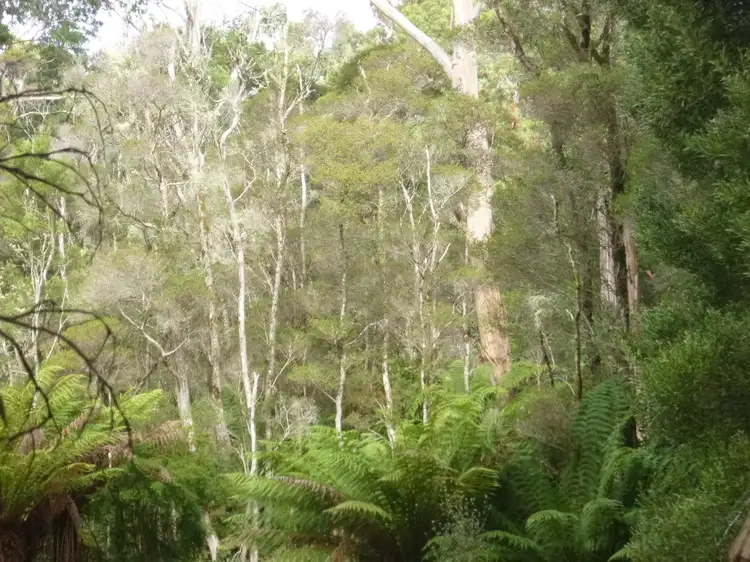 Main view of Homely land listing, 13 Jones Street, Strahan TAS 7468