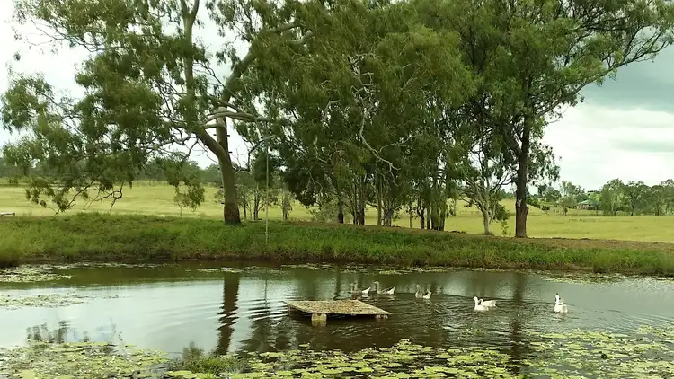 Second view of Homely rural property listing, 519 Munbilla Road, Munbilla QLD 4309