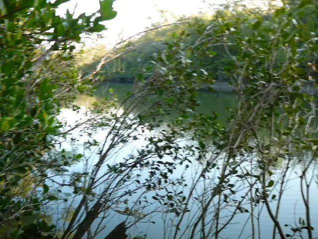 Second view of Homely land listing, 5 Cherwell Crescent, Pacific Haven QLD 4659
