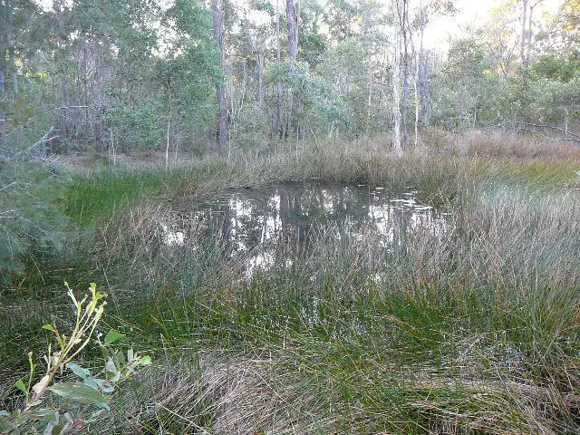 Third view of Homely land listing, 5 Cherwell Crescent, Pacific Haven QLD 4659