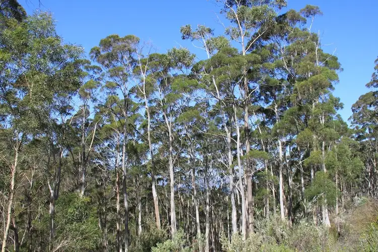 Fifth view of Homely land listing, 140 Oxleys Road, Kettering TAS 7155