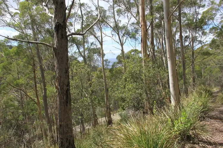 Seventh view of Homely land listing, 140 Oxleys Road, Kettering TAS 7155