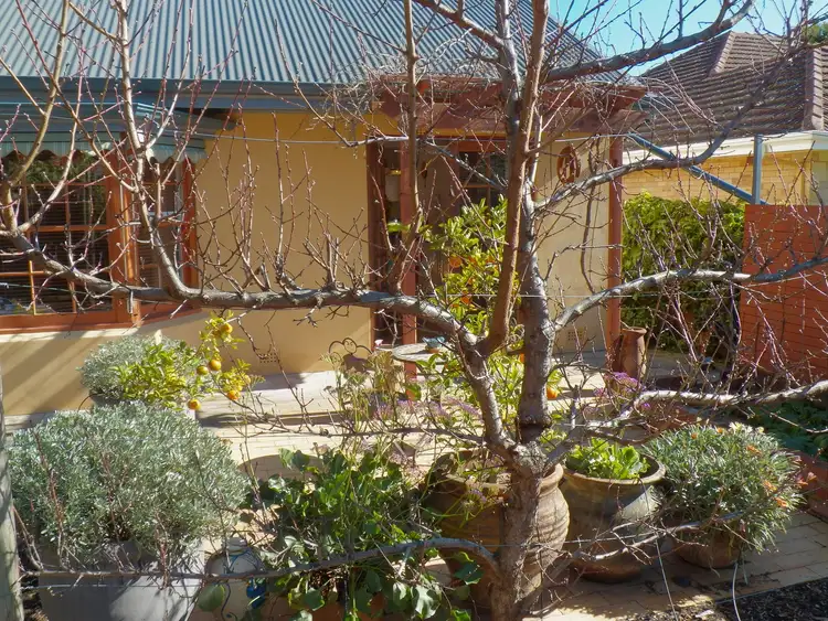 Main view of Homely house listing, 8 Hale Avenue, Hawthorn SA 5062