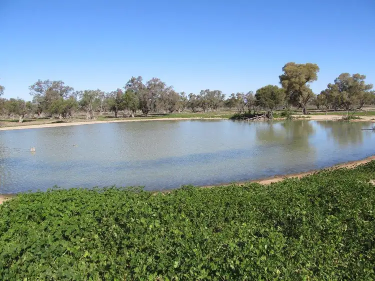 Sixth view of Homely rural property listing, - Corella, Bourke NSW 2840