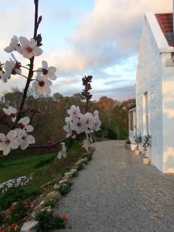 Fourth view of Homely house listing, 738 Torrens Valley Road, Gumeracha SA 5233