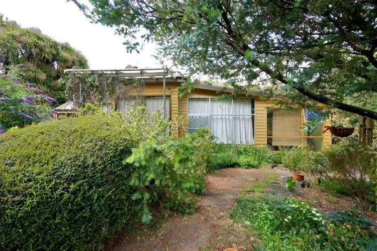 Seventh view of Homely rural property listing, 169 Dennis Road, Gunns Plains TAS 7315