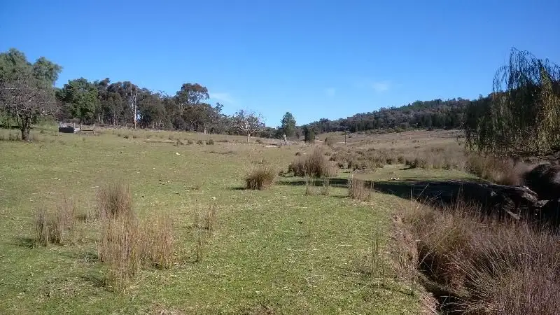 Main view of Homely rural property listing, 655 Monaghans Rd, Manildra NSW 2865