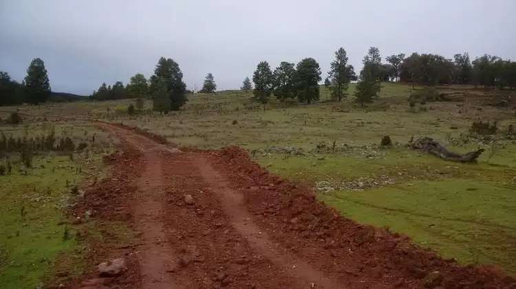 Second view of Homely rural property listing, 655 Monaghans Rd, Manildra NSW 2865