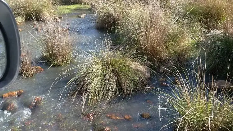 Fourth view of Homely rural property listing, 655 Monaghans Rd, Manildra NSW 2865