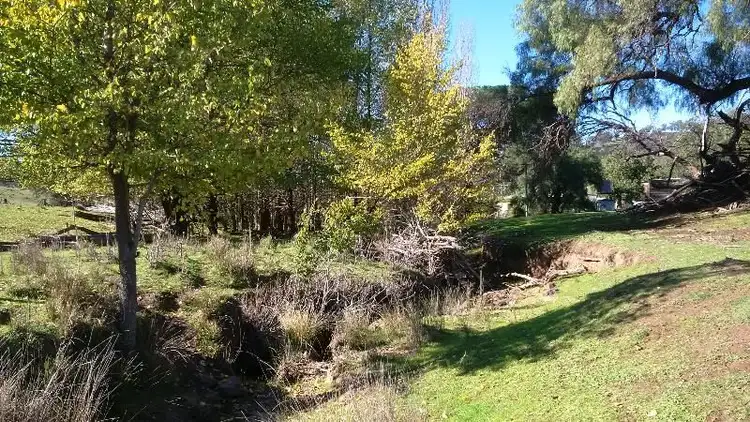 Sixth view of Homely rural property listing, 655 Monaghans Rd, Manildra NSW 2865