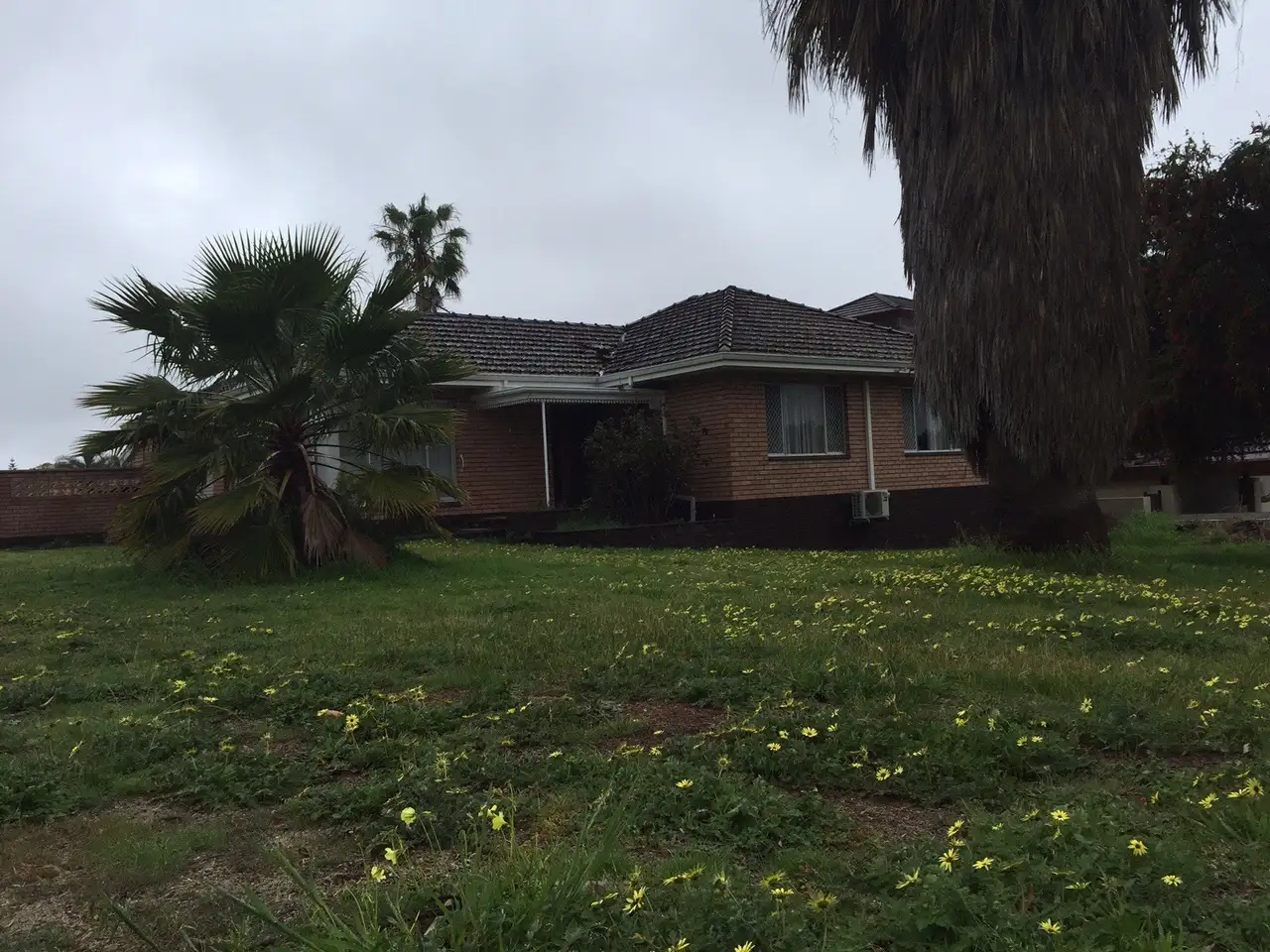 Main view of Homely house listing, 1 Meridith Way, Dianella WA 6059