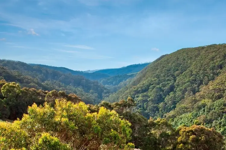 Main view of Homely land listing, 23B & 23E, 100 Leorkes Access (Wongarra), Apollo Bay VIC 3233