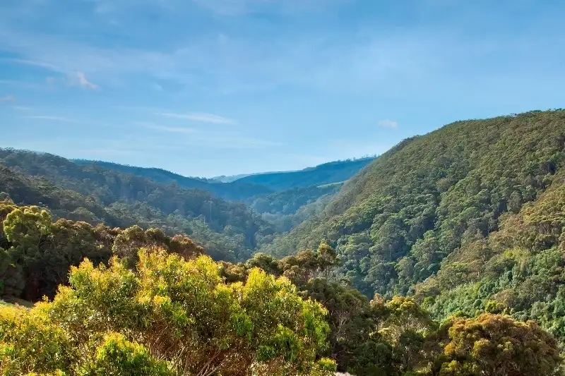 Main view of Homely land listing, 23B & 23E, 100 Leorkes Access (Wongarra), Apollo Bay VIC 3233