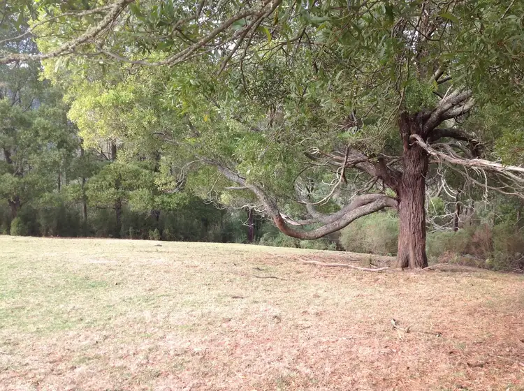 Third view of Homely land listing, 56 Shandley road, Neerim Junction VIC 3832