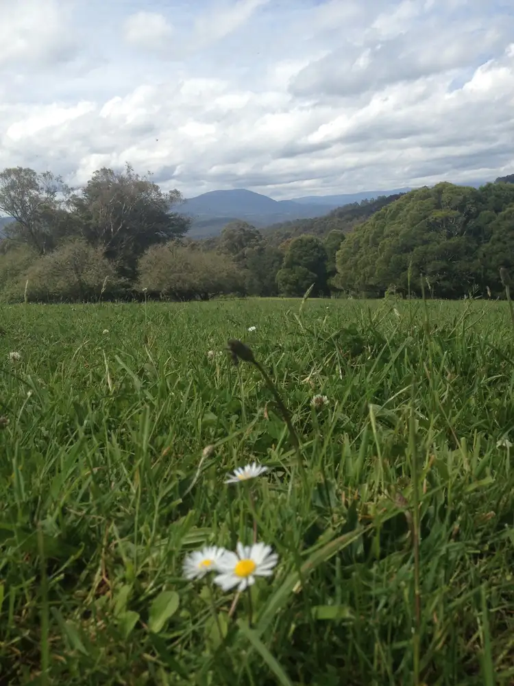 Sixth view of Homely land listing, 56 Shandley road, Neerim Junction VIC 3832