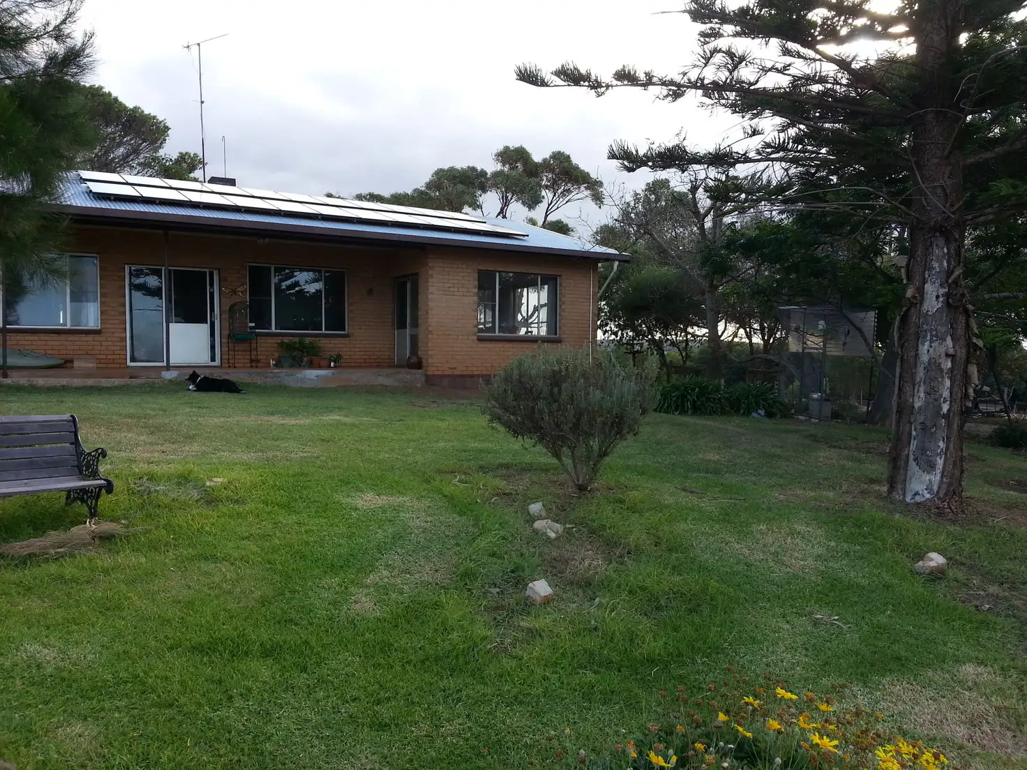 Main view of Homely rural property listing, 905 Charlton Gully Road, Charlton Gully SA 5607