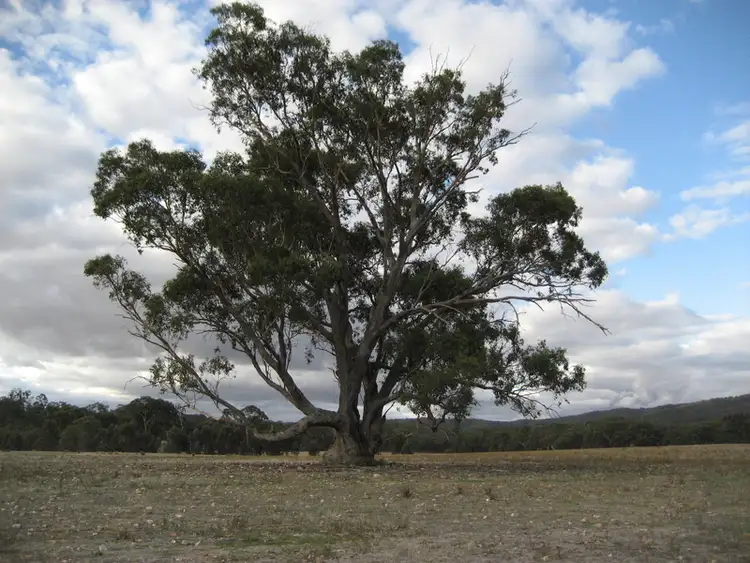 Main view of Homely land listing, Off Frenchmans-St Arnaud Rd, Barkly VIC 3384