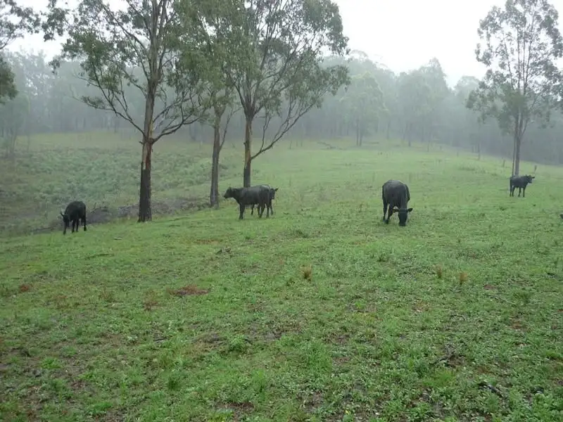 Main view of Homely rural property listing, 1/1677 Thunderbolts Way, Rookhurst NSW 2422