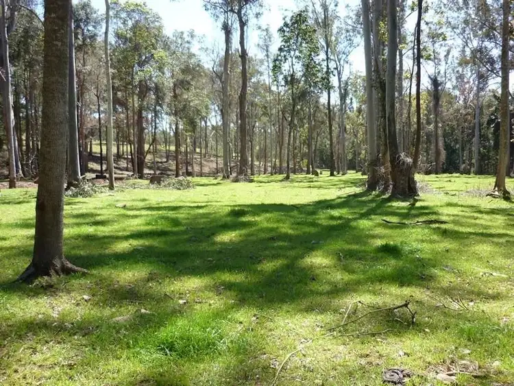 Fourth view of Homely rural property listing, 1/1677 Thunderbolts Way, Rookhurst NSW 2422