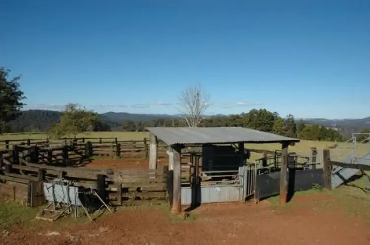 Sixth view of Homely rural property listing, 116 Mollydale Road, Tyringham NSW 2453