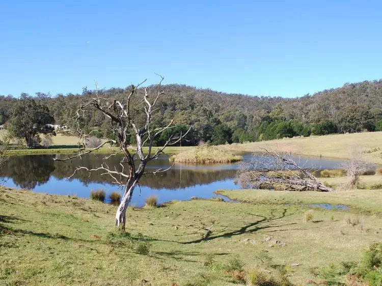Third view of Homely land listing, Lot 384 Mt Darragh Road, Lochiel NSW 2549