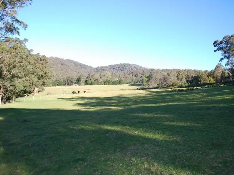 Fifth view of Homely land listing, Lot 384 Mt Darragh Road, Lochiel NSW 2549