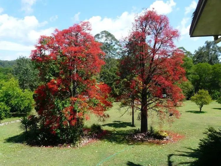 Third view of Homely rural property listing, 240 Candle Mountain Dr, Crohamhurst QLD 4519