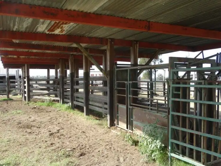 Second view of Homely rural property listing, 1280 Acres A Grahams Road, Chinchilla QLD 4413