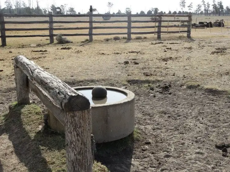 Seventh view of Homely rural property listing, 1280 Acres A Grahams Road, Chinchilla QLD 4413