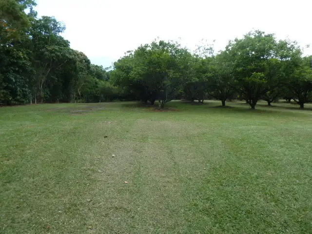 Sixth view of Homely land listing, Lot 17 Sophia Close, Fishery Falls QLD 4871