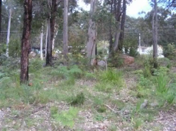 Main view of Homely land listing, LOT 50 Bracknell Cres, Denmark WA 6333