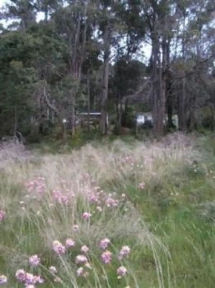 Third view of Homely land listing, LOT 50 Bracknell Cres, Denmark WA 6333