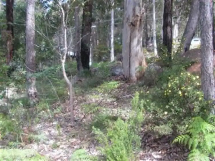 Fourth view of Homely land listing, LOT 50 Bracknell Cres, Denmark WA 6333