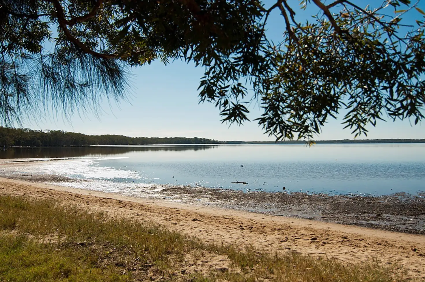 Main view of Homely house listing, 36 Lakeside Drive, Cooroibah QLD 4565