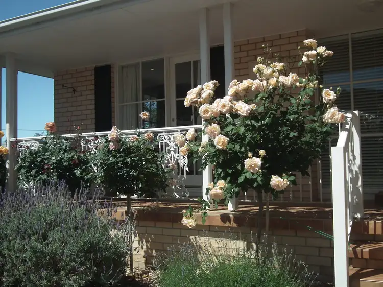 Second view of Homely house listing, 49 Shoreline Drive, Howrah TAS 7018