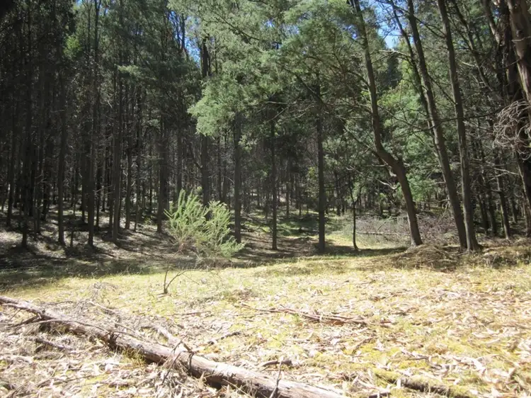Sixth view of Homely land listing, Off Huon Highway, Dover TAS 7117