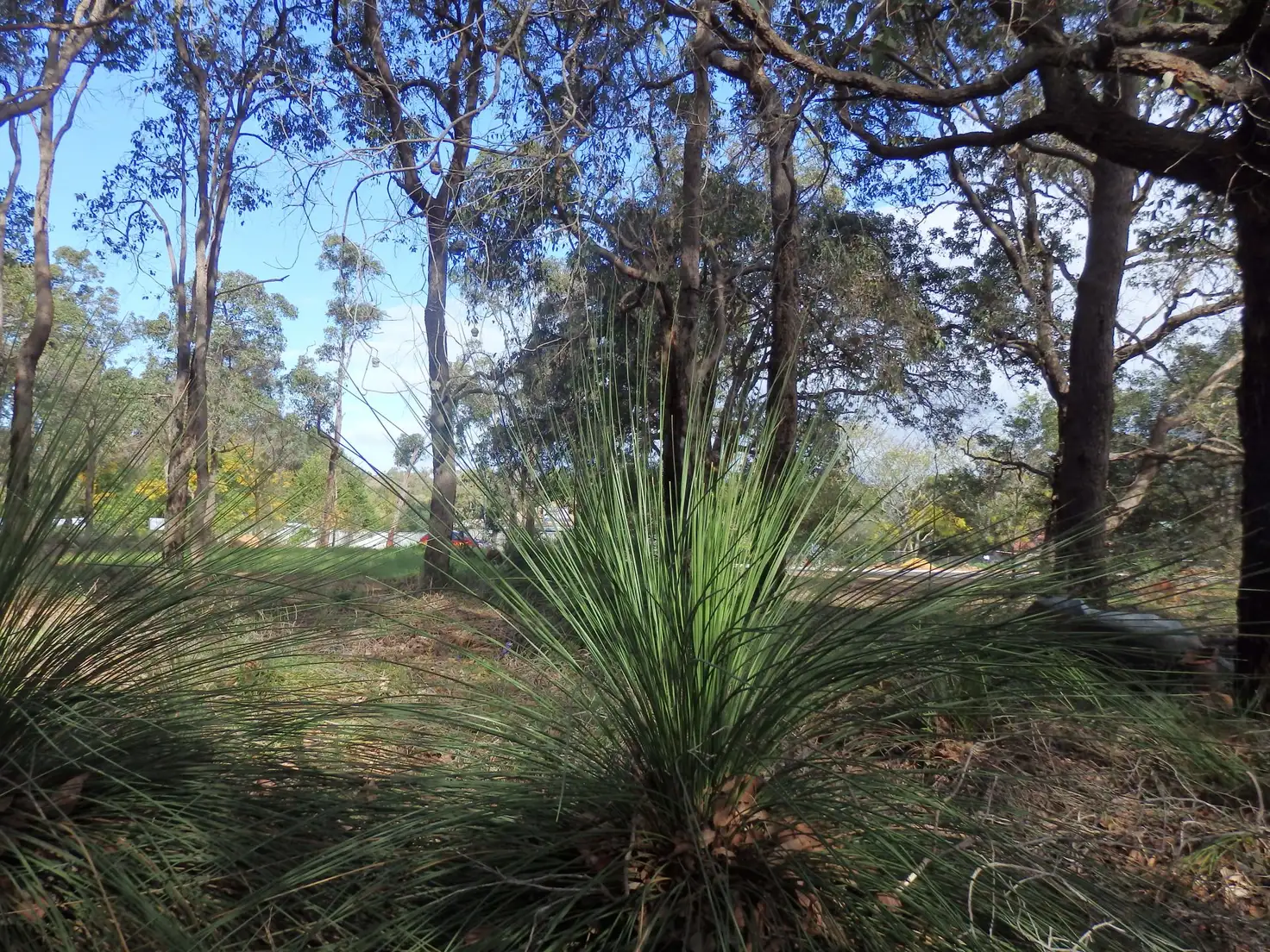 Main view of Homely land listing, Lot 52 Pruiti Crescent, Lesmurdie WA 6076