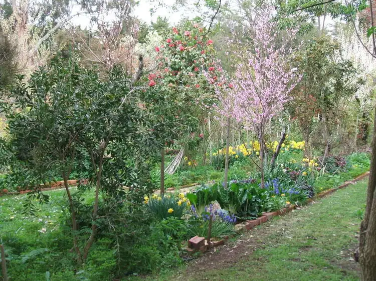 Seventh view of Homely rural property listing, 1878 Old Melbourne Road, Millbrook VIC 3352