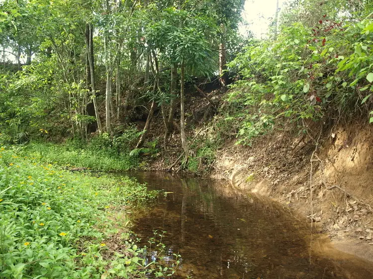 Third view of Homely rural property listing, 425 Pinnacle-Septimus Rd, Pinnacle QLD 4741