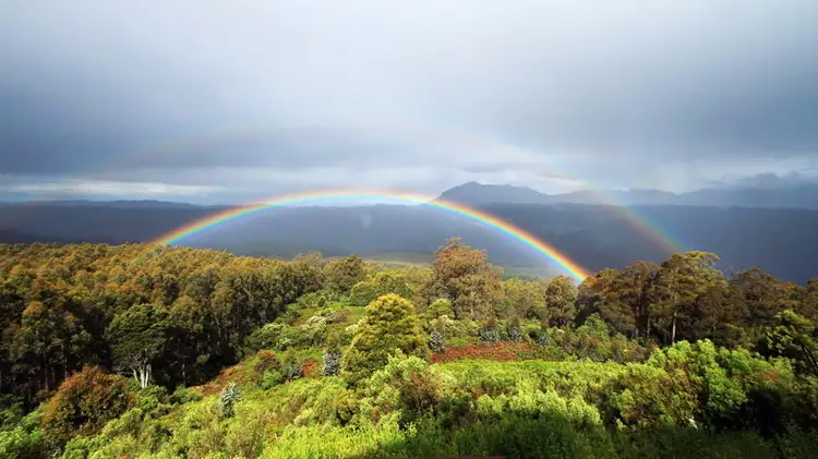 Fourth view of Homely rural property listing, 629 Cradle Mountain Road, Erriba TAS 7310