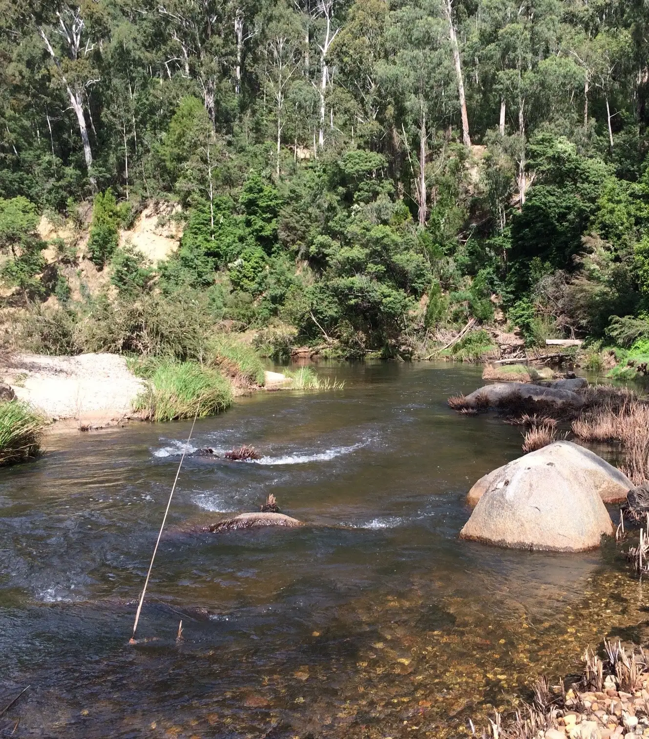 Main view of Homely rural property listing, 948 West Cann Road, Noorinbee VIC 3890