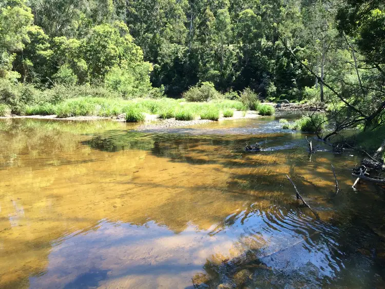 Second view of Homely rural property listing, 948 West Cann Road, Noorinbee VIC 3890