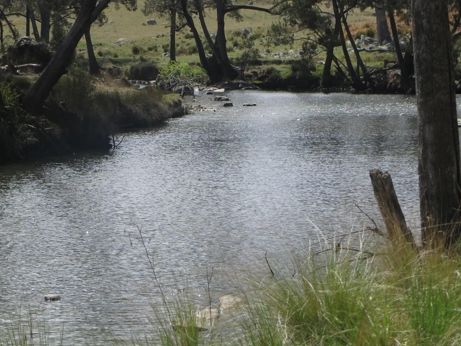 Main view of Homely rural property listing, Lot 42 Bruxner Hwy, Tenterfield NSW 2372