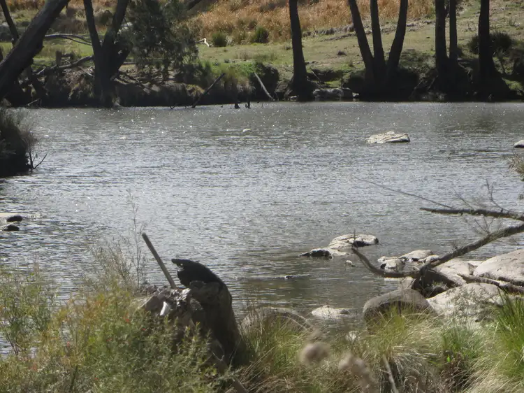 Fourth view of Homely rural property listing, Lot 42 Bruxner Hwy, Tenterfield NSW 2372