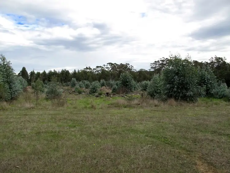 Sixth view of Homely rural property listing, 493 Parker Road, Denmark WA 6333