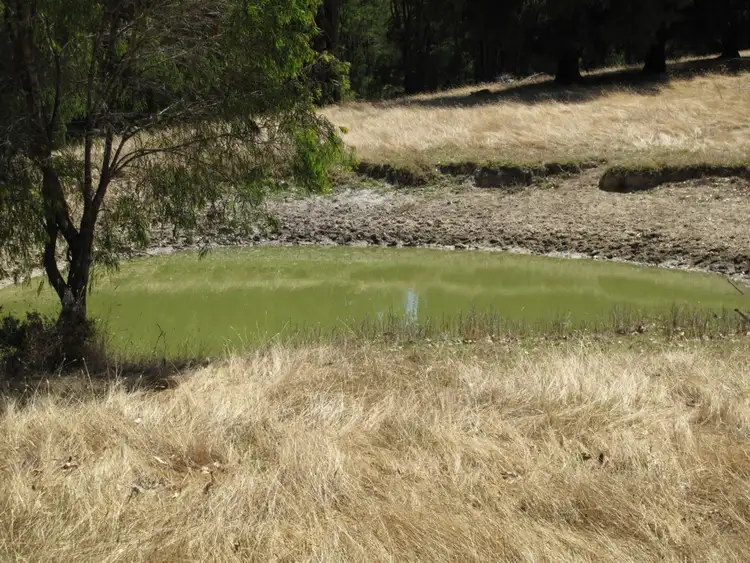 Third view of Homely rural property listing, 135 Hazelvale Road North, Hazelvale WA 6333