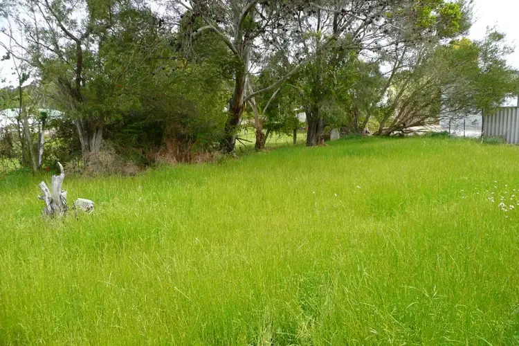 38A Buckley Street, Denmark WA 6333