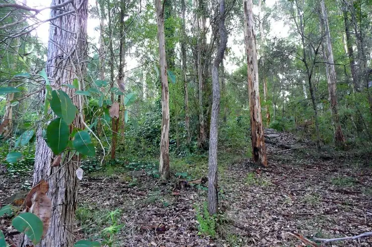 Second view of Homely land listing, 50 Bracknell Cres, Denmark WA 6333